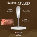 Quadrant Handle Small Go Dent